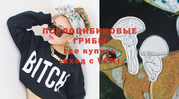 шишки Нефтекумск
