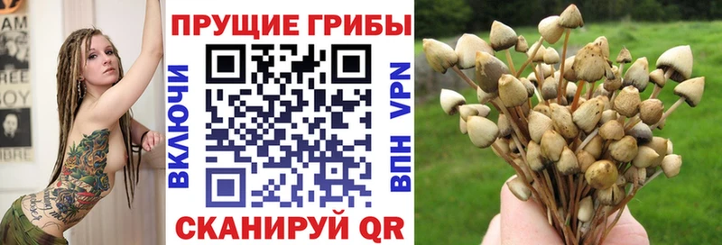 Галлюциногенные грибы Psilocybine cubensis  Безенчук 
